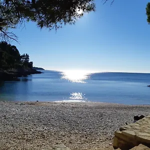 https://apartman-diana-pula.in-istria.net